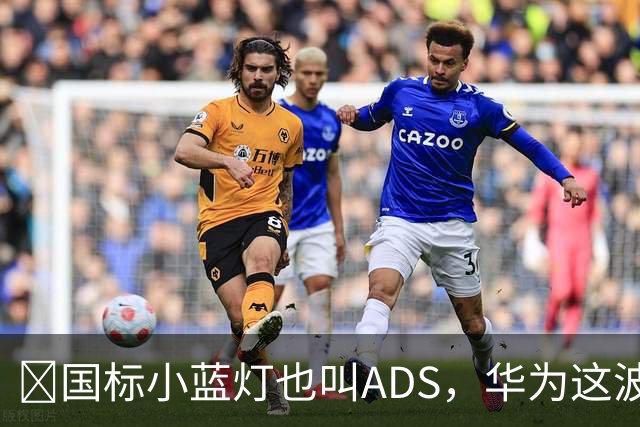 ​国标小蓝灯也叫ADS，华为这波白捡了个大便宜？