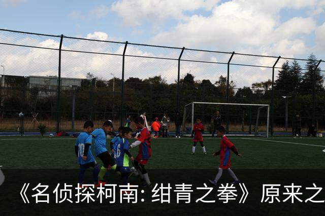 《名侦探柯南: 绀青之拳》原来之前基德偷走柯南是预告之一啊...