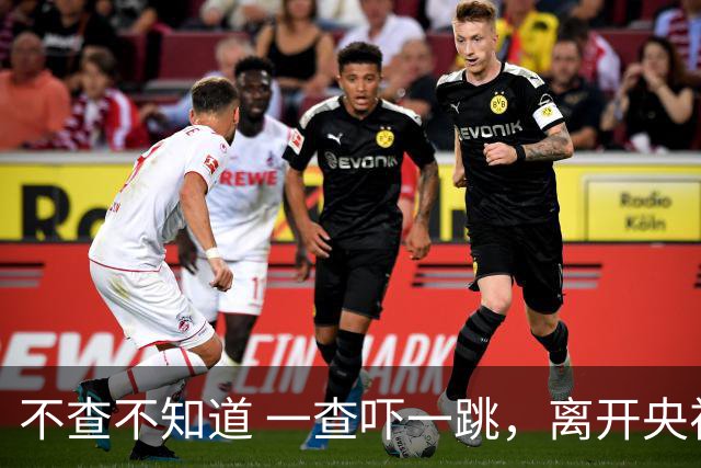 不查不知道 一查吓一跳，离开央视单干的李思思，私下到底能有多