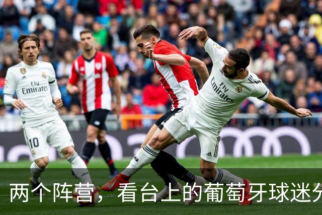 两个阵营，看台上的葡萄牙球迷分别支持热苏斯和C罗