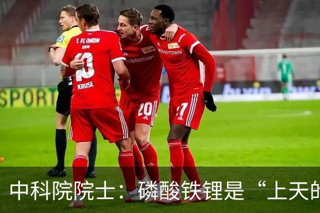 中科院院士：磷酸铁锂是“上天的礼物”，现在电车很好不必等固态