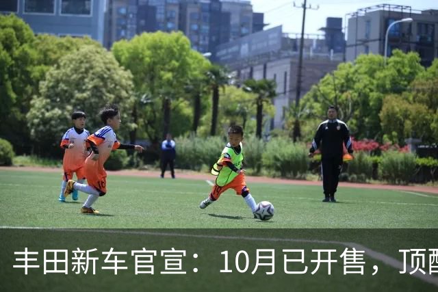丰田新车官宣：10月已开售，顶配仅22.88万元