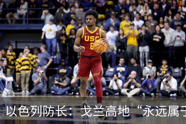 以色列防长：戈兰高地“永远属于以色列”
