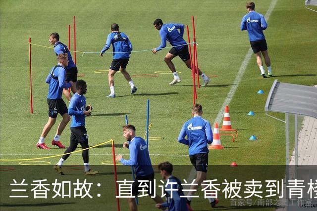 兰香如故：直到许兰香被卖到青楼，才知林锦岐面对郑蔓宜有多卑微
