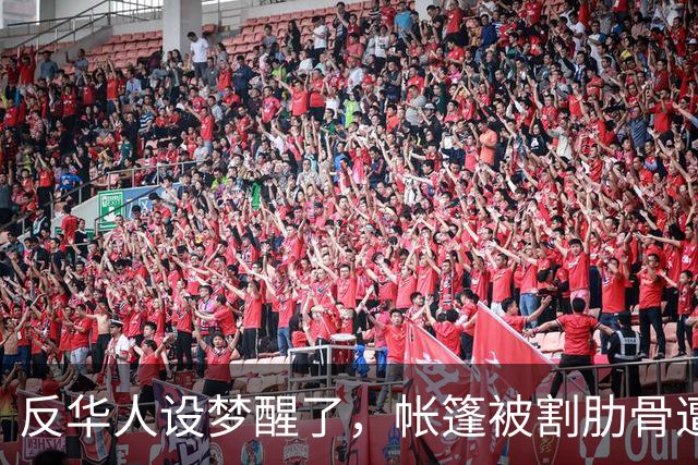 反华人设梦醒了，帐篷被割肋骨遭重击，控诉帖为何瞬间凉透？