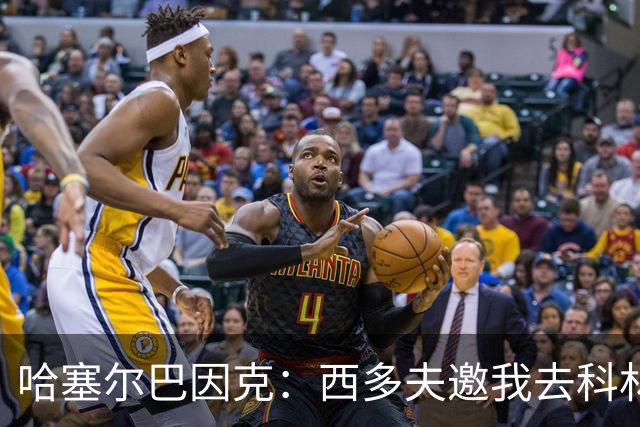 哈塞尔巴因克：西多夫邀我去科林蒂安当助教