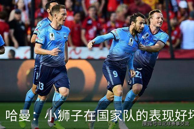 哈曼：小狮子在国家队的表现好坏参半，我会选努贝尔当一门