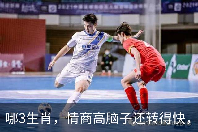 哪3生肖，情商高脑子还转得快，不缺贵人不缺钱，未来全是好日子