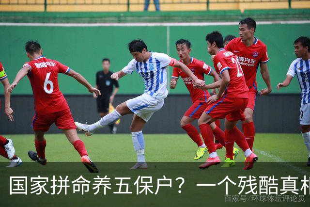 国家拼命养五保户？一个残酷真相：养他们其实是养全社会的底气