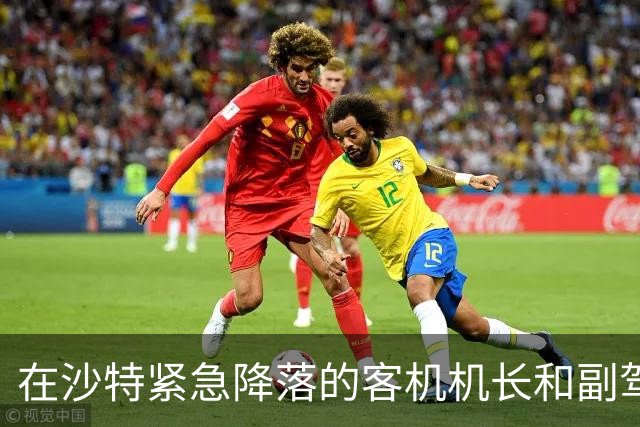 在沙特紧急降落的客机机长和副驾驶受伤入院