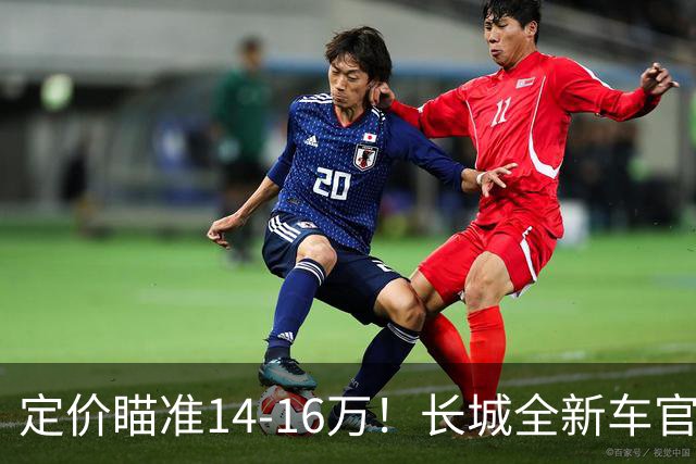 定价瞄准14-16万！长城全新车官宣，年内就能买到