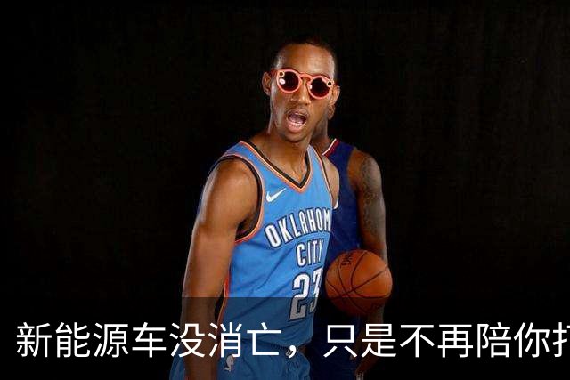 新能源车没消亡，只是不再陪你打价格战了