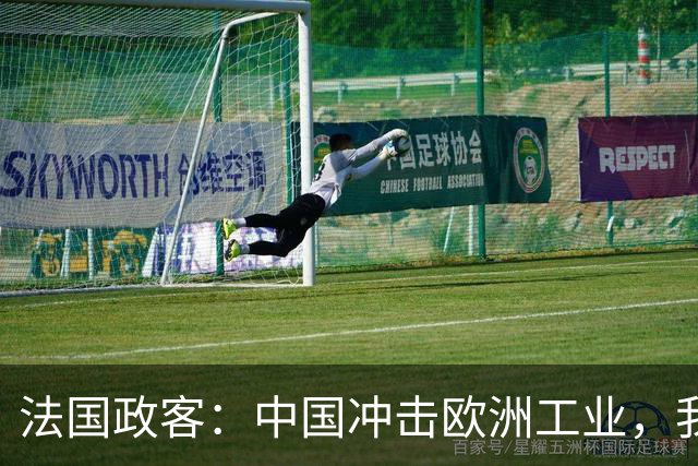 法国政客：中国冲击欧洲工业，我们的儿孙不能都给中国人端茶送水 ！