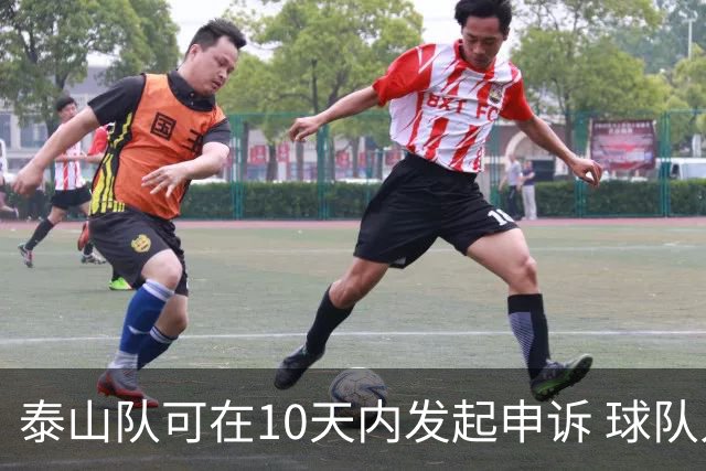 泰山队可在10天内发起申诉 球队人士也一头雾水