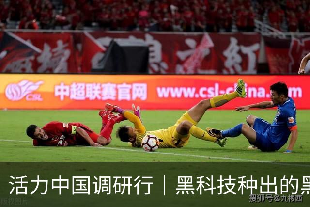 活力中国调研行｜黑科技种出的黑番茄，是什么味道？