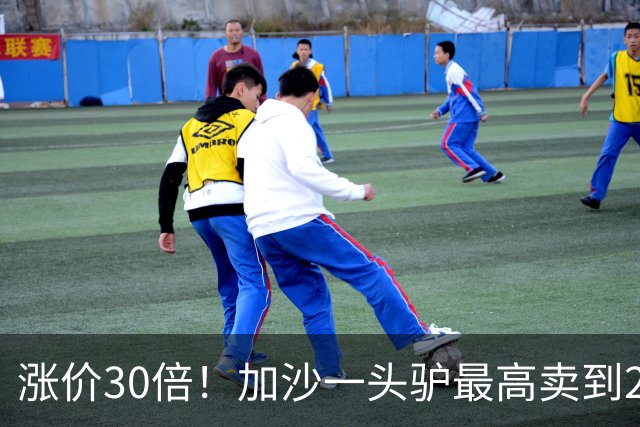 涨价30倍！加沙一头驴最高卖到20万元：私人车辆几乎绝迹，牲畜成稀缺运输工具