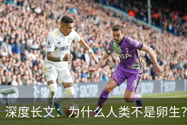 深度长文：为什么人类不是卵生？说出来你可能不信，这事3亿年前就定好了