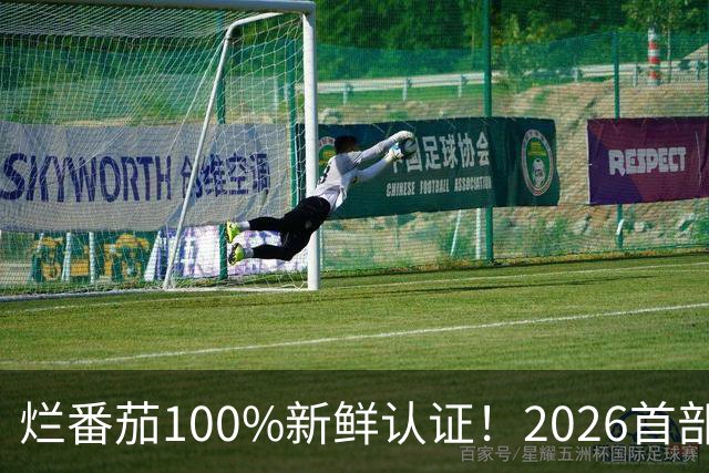 烂番茄100%新鲜认证！2026首部