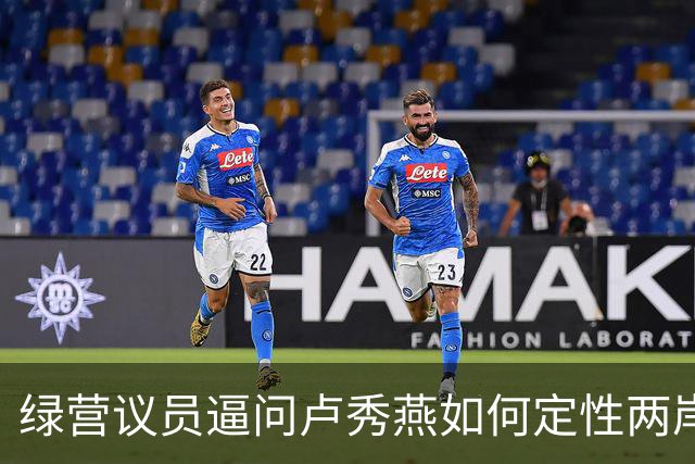 绿营议员逼问卢秀燕如何定性两岸关系，卢讲不出“两岸同属一中”！