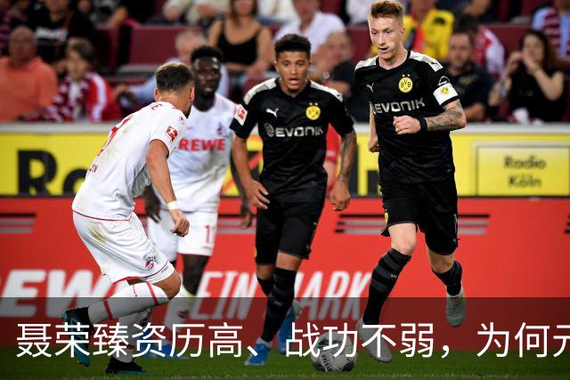 聂荣臻资历高、战功不弱，为何元帅排名在曾经的副手徐向前之后？