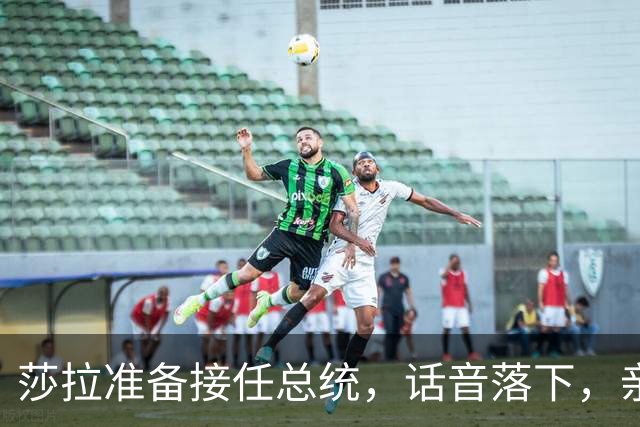 莎拉准备接任总统，话音落下，亲弟弟被锁定，接下来48小时很关键