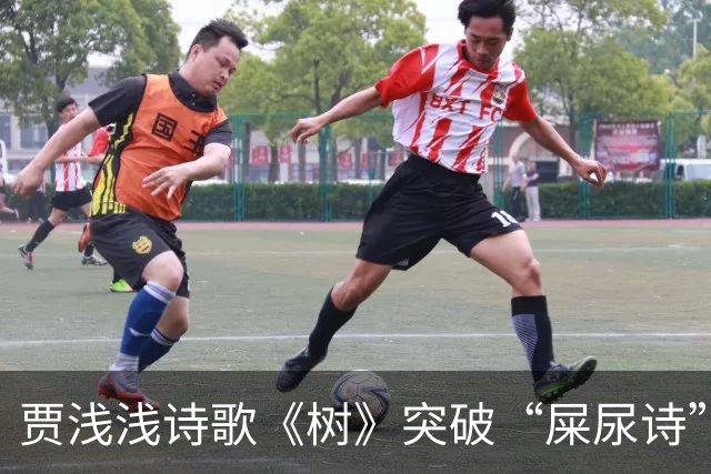 贾浅浅诗歌《树》突破“屎尿诗”的局限，读来令人耳目一新