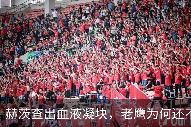 赫茨查出血液凝块，老鹰为何还不把他放进伤病储备？