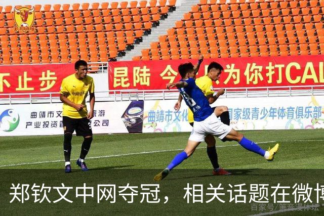 郑钦文中网夺冠，相关话题在微博热搜前十里占八席