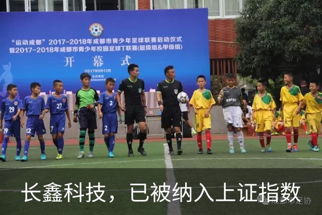 长鑫科技，已被纳入上证指数