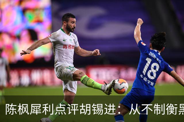 陈枫犀利点评胡锡进：从不制衡黑暗，只稀释光明。从不约束乱象，只消解正义！
