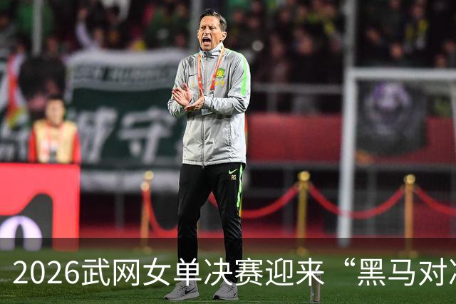 2026武网女单决赛迎来“黑马对决”，斯瓦泰克波兰德比落败，赫瓦林斯卡将与卡塔尔争冠