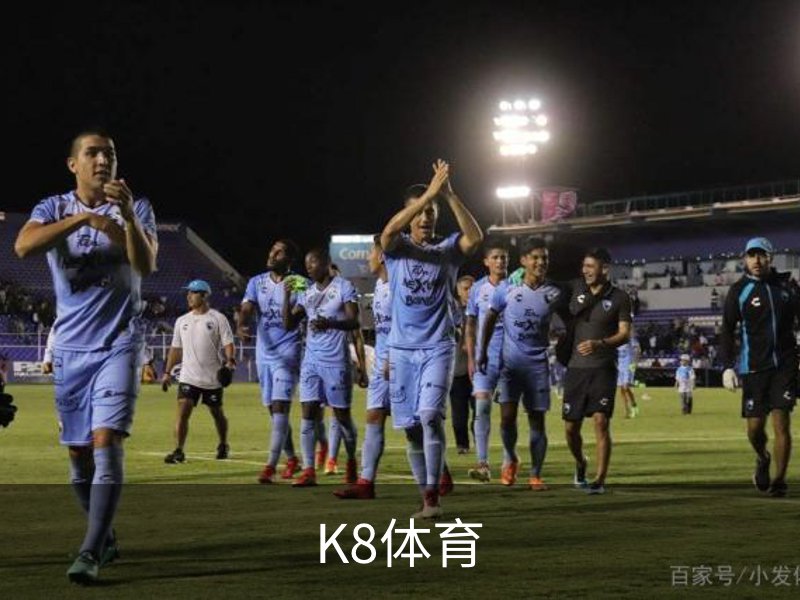 了解K8体育